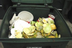 Cover photo for Thinking of Starting a Larger Composting Project?