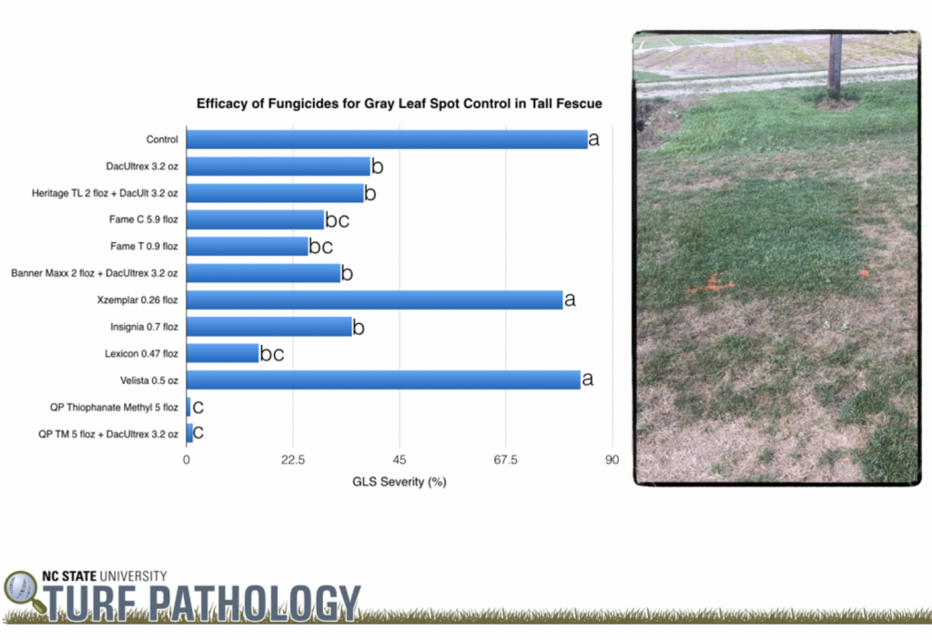 Efficacy of fungicides for gray leaf spot control