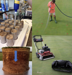 pesticide fate study