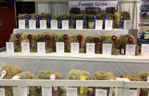 Cover photo for Update - 2021 State Fair Hay Show Contest