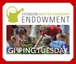 Master Gardener volunteer planting vegetables with children