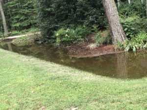 debris-clogged drainage ditch filled with stormwater