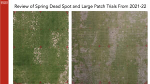 Cover photo for Review of Spring Dead Spot and Large Patch Trials From 2021-22