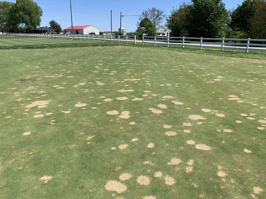 TurfFiles NC State Extension