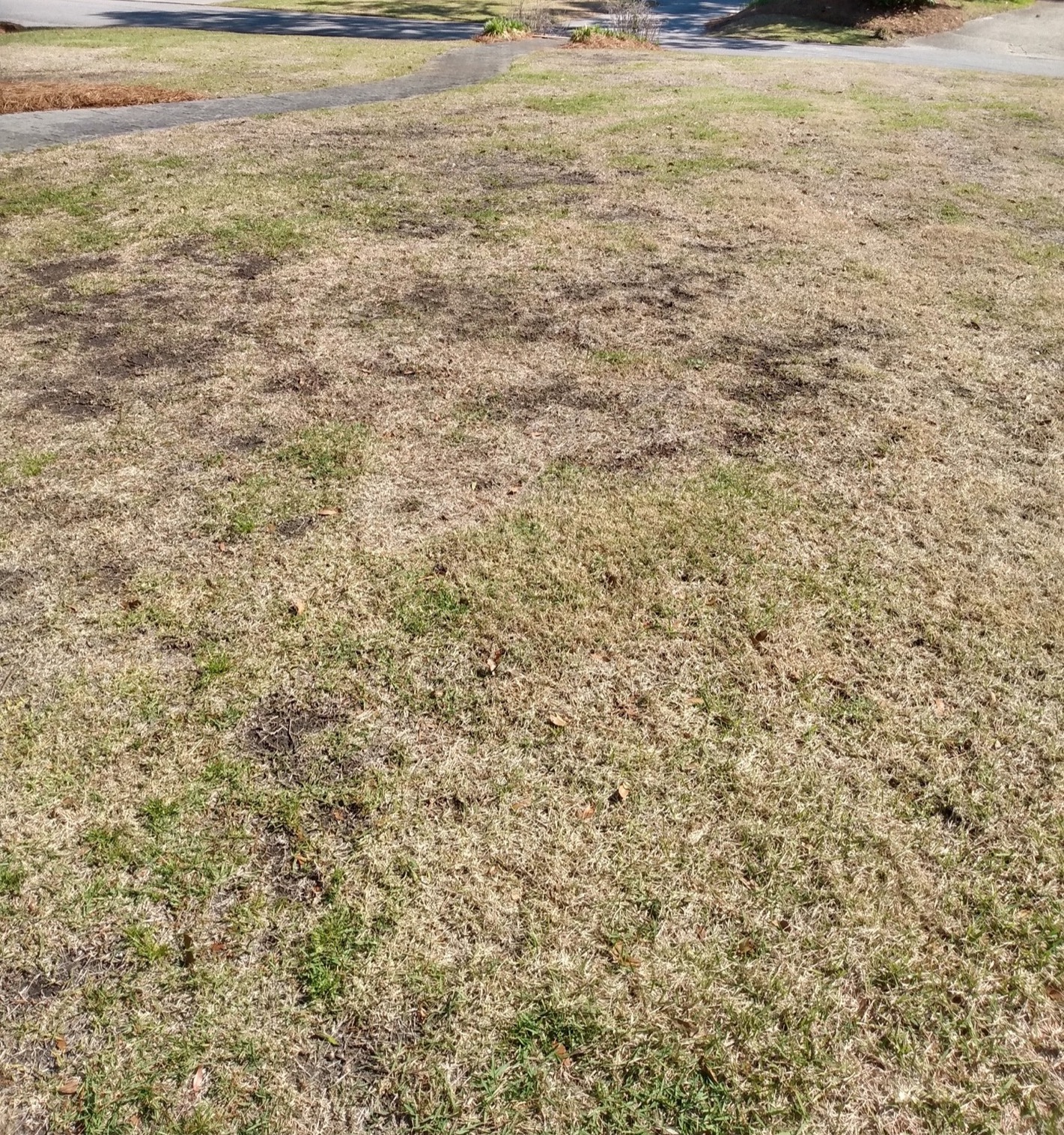 TurfFiles NC State Extension