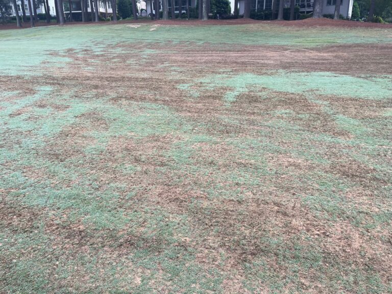 TurfFiles NC State Extension