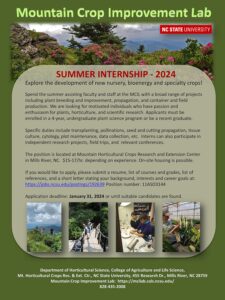 summer internship 2024 image