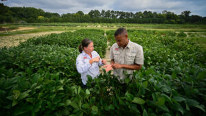 NC State Extension Specialist Rachel Vann is among seven NC State faculty members playing a lead role in the NSF-funded CROPS project.