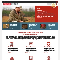 Snapshot of new Extension website prototype