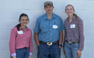 Cover photo for 2025 West District Cattle Handling Contest